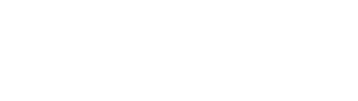 DTCC white logo - winsa