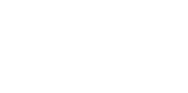 MAE white logo - winsa