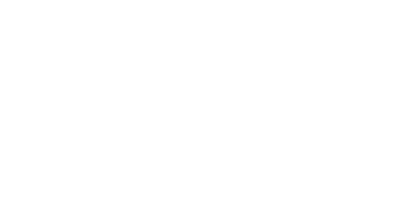 caja de valores white logo - winsa